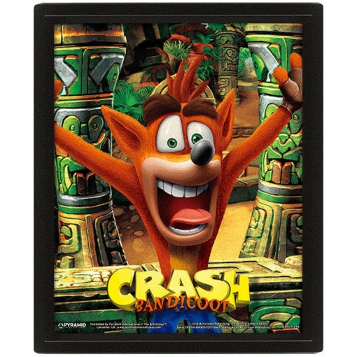 Cuadro 3D Crash Bandicoot