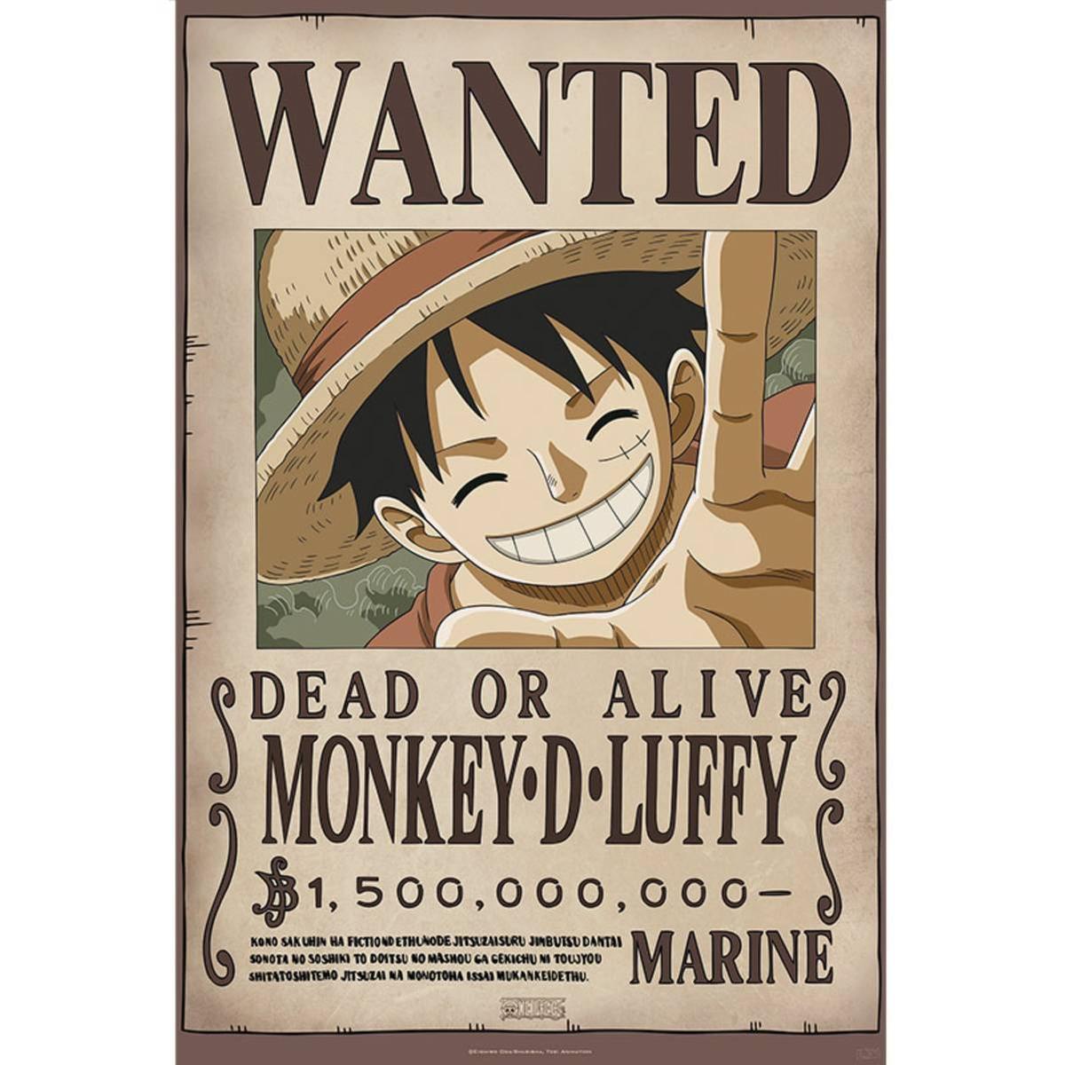 One Piece - Poster Maxi 91.5X61 - Wanted Luffy New 2