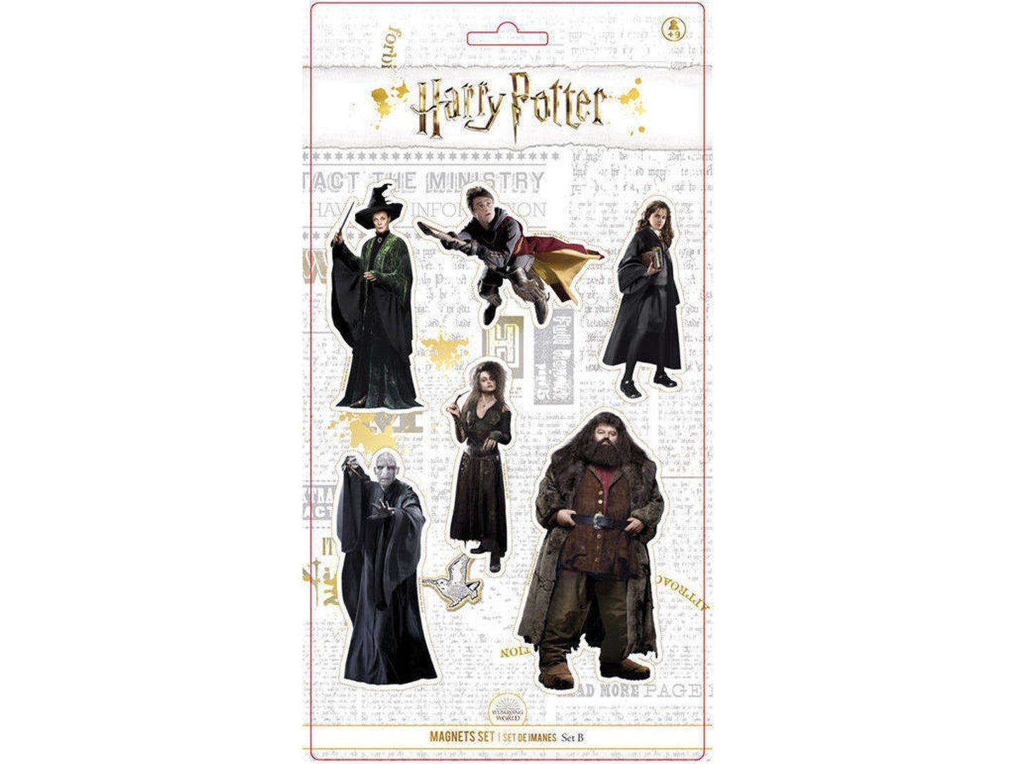 Set Imanes Harry Potter B