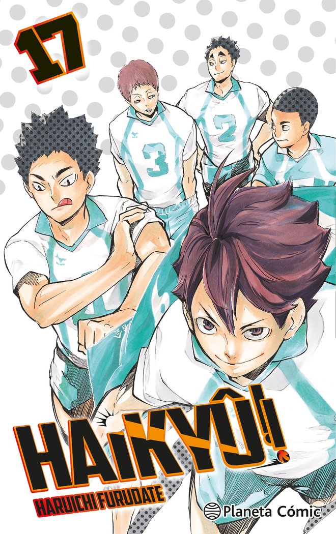 Haikyu 17