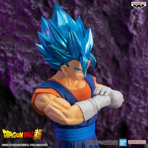 Figura Vegetto