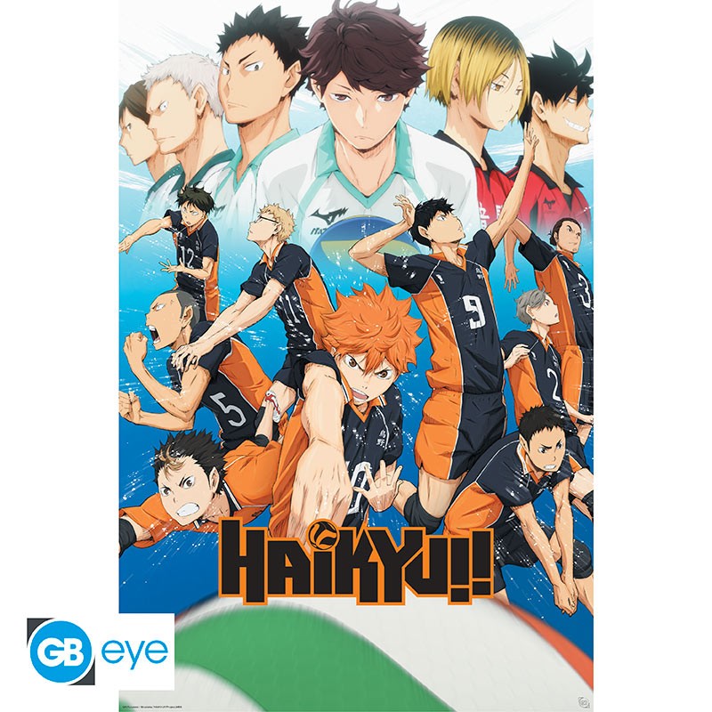 Poster Haikyu Equipo Haikyû!! 61 x 91,5 cm