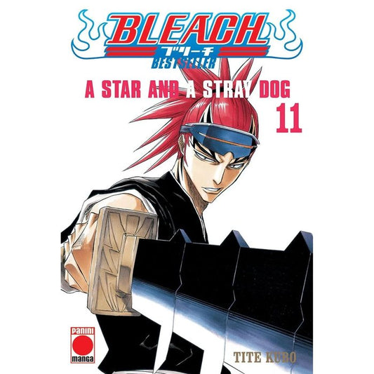 Bleach 11
