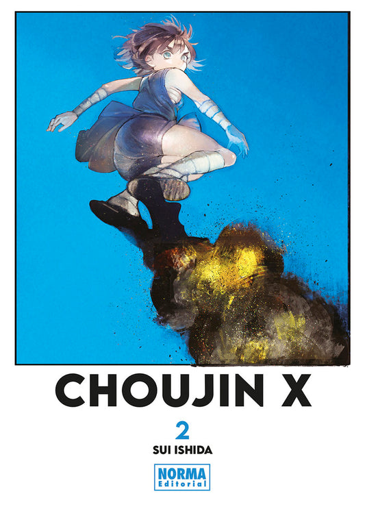 Choijin X 2