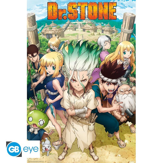 Poster Groupe Dr Stone 91X61Cm