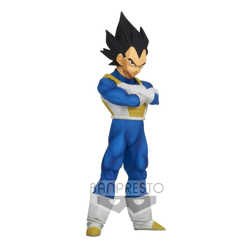 Vegeta Dragon Ball Z Burning Fighters
