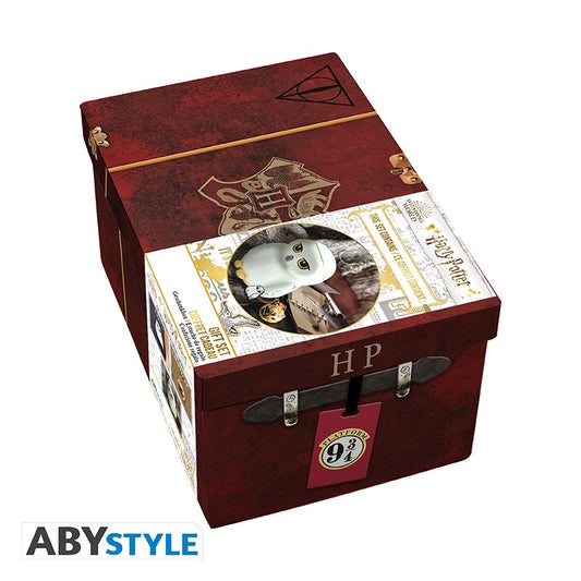 Set Regalo Harry Potter Llavero Pin Y Taza Hedwig