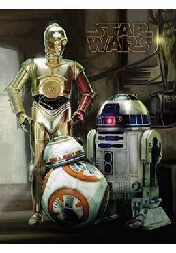 Cuadro Star Wars R2D2 C3Po